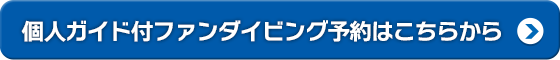 個人ガイド付ファンダイビング予約はこちらから